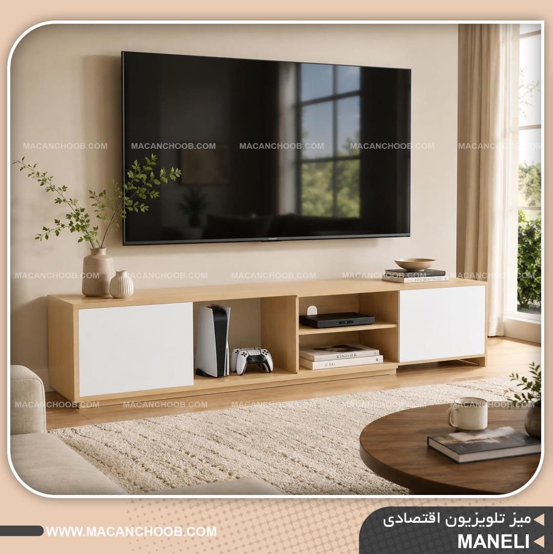 میز تلویزیون مینیمال متحرک درب دار و قفسه دار مدل MANELI